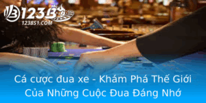 Ca Cuoc Ua Xe Kham Pha The Gioi Cua Nhung Cuoc Ua Ang Nho