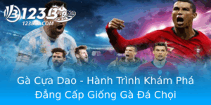 Ga Cua Dao Hanh Trinh Kham Pha Ang Cap Giong Ga A Choi